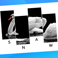 Bird Word Slider 