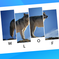 Animals Word Slider