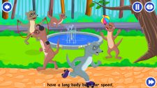 ferret_kidloland