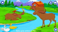 moose_kidloland