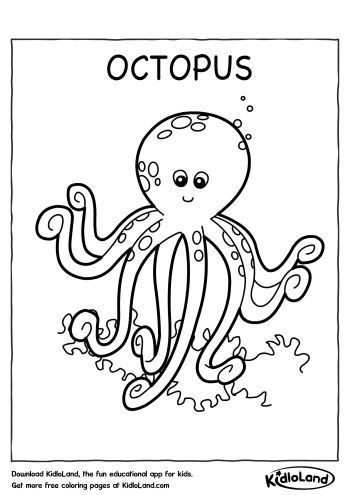 download free octopus coloring page and educational