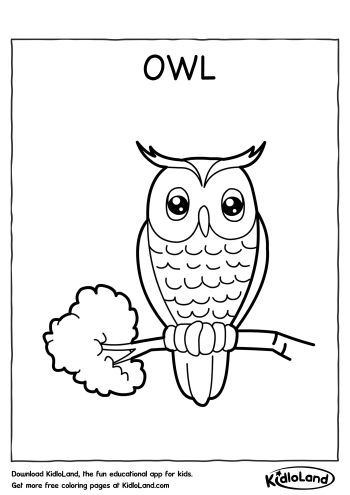 download free owl coloring page and educational activity